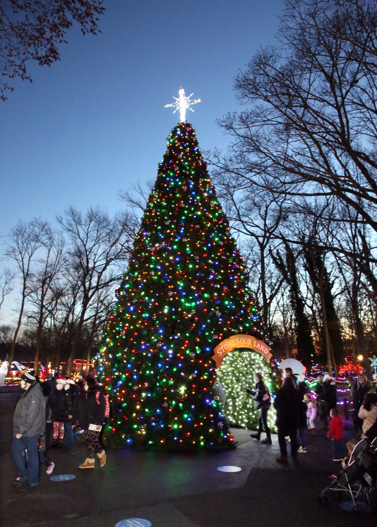 Storybook Land Christmas Fantasy Lights